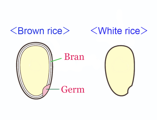 Bran, Germ