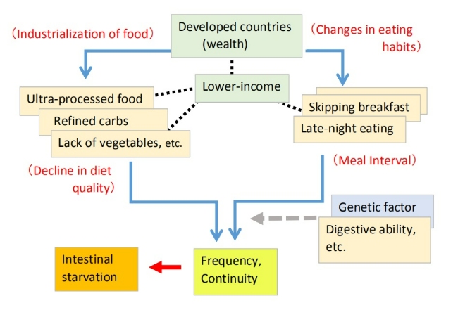 Multiple causes of obesity