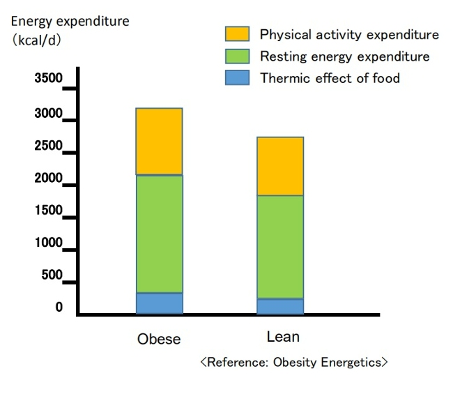 Breakdown of energy expenditure