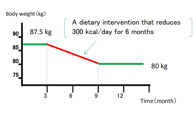 Static model of weight loss