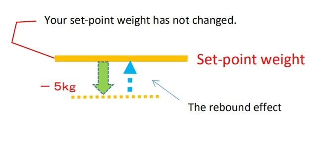 The rebound effect