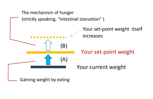 set-point weight