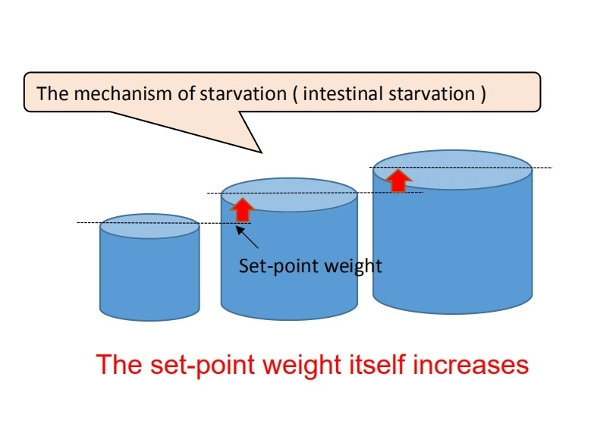 The set-point weight increases